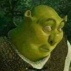 Meet your Posher, Luna